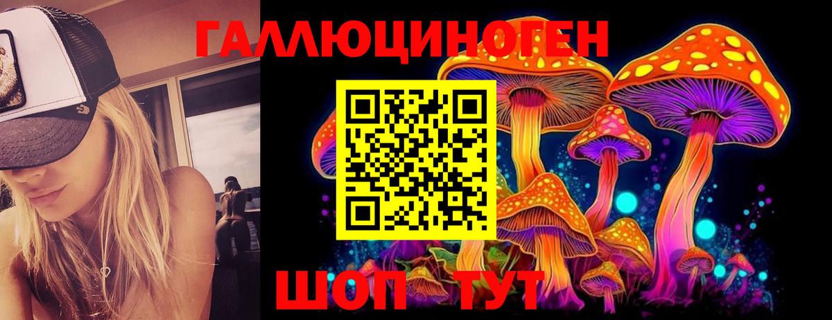 Галлюциногенные грибы MAGIC MUSHROOMS  Вход с VPN  Галлюциногенные грибы Cubensis  Малгобек 